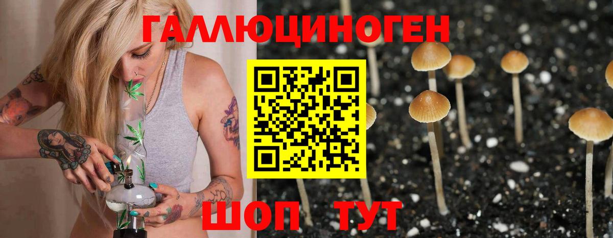 купить  сайты  Вход с VPN  Мытищи  Галлюциногенные грибы мухоморы 