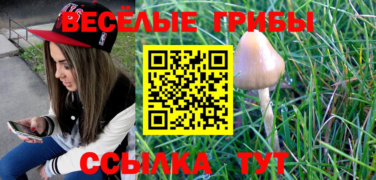 Галлюциногенные грибы мухоморы Мытищи
